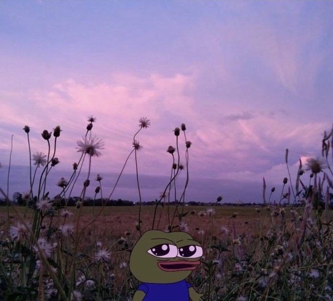 A cartoon Pepe the Frog sticker sits in a field of wildflowers under a pink and purple sunset sky, perfectly matching the cheerful "good morning frens" vibe with its sleepy yet content expression.