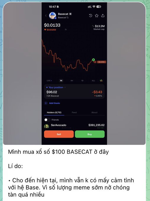 A mobile screenshot of a Basecat meme coin ($BASECAT) priced at $0.01333, with Vietnamese text explaining a $100 purchase rationale referencing the Base ecosystem's meme coin proliferation.