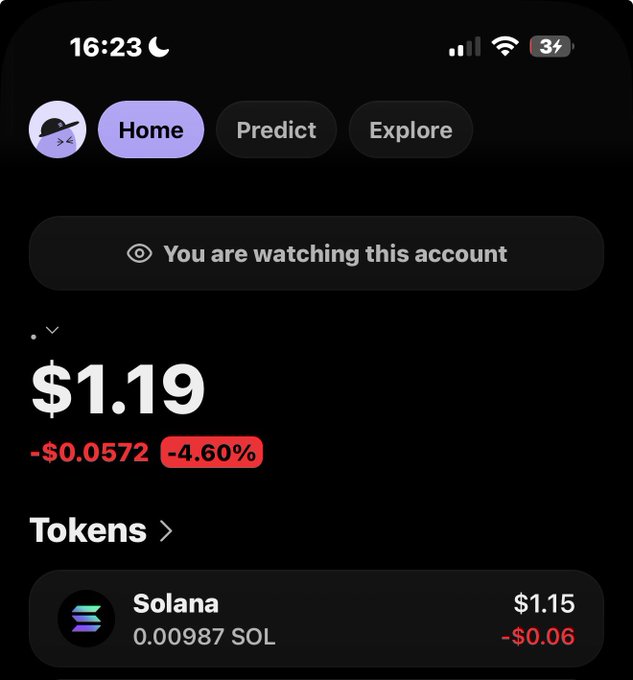 A mobile app screenshot showing a crypto portfolio with a balance of $1.19, down 4.60% (-$0.0572), with a Solana holding of 0.00987 SOL valued at $1.15.