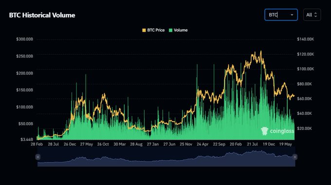 A digital chart titled 'BTC Historical Volume' from coinglass.com, displaying BTC price in yellow/orange and Volume in green, showing price peaks reaching over $100K alongside significant volume spikes.