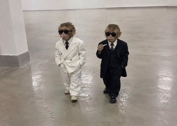 Two well-dressed monkeys in suits and sunglasses stride confidently through a modern hall, one in a cream tuxedo and the other in a black suit holding a cigarette, embodying the post's theme of a savvy new class of traders ("class of 2021") stepping into their moment to generate wealth. The image's cool, deliberate swagger mirrors the post's confident tone about moving from public platforms like X to private group chats where information and profits are flowing.