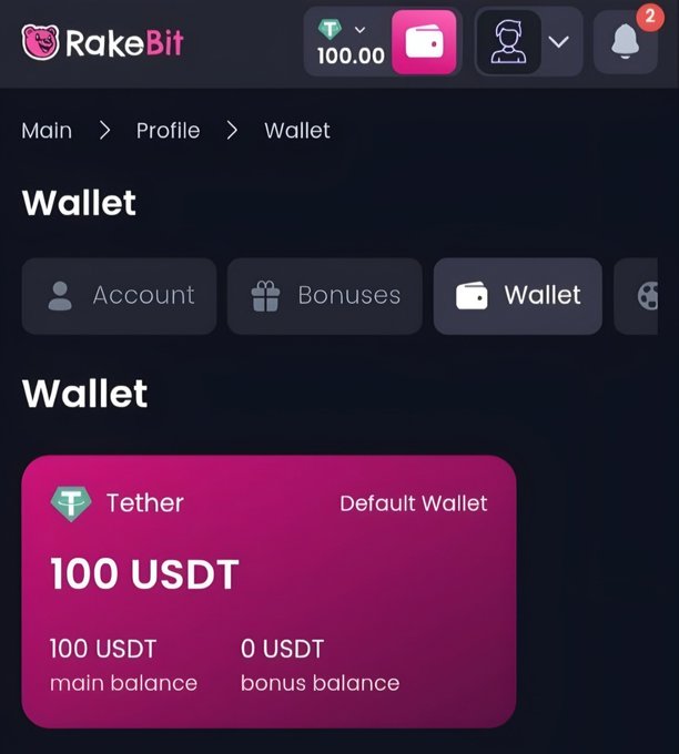 Screenshot of a RakeBit online casino wallet page showing a Tether (USDT) default wallet balance of 100 USDT, with 100 USDT in main balance and 0 USDT in bonus balance.