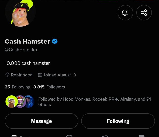 A Twitter/X profile for 'Cash Hamster' (@CashHamster_) displays the bio '10,000 cash hamster,' shows 3,815 followers, and indicates the user joined August on Robinhood.