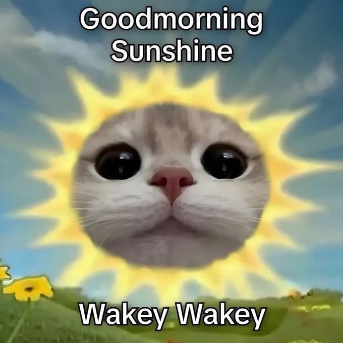 A meme featuring a cat's face superimposed on a bright sun with rays, set against a blue sky and green field, with the text "Goodmorning Sunshine" and "Wakey Wakey".