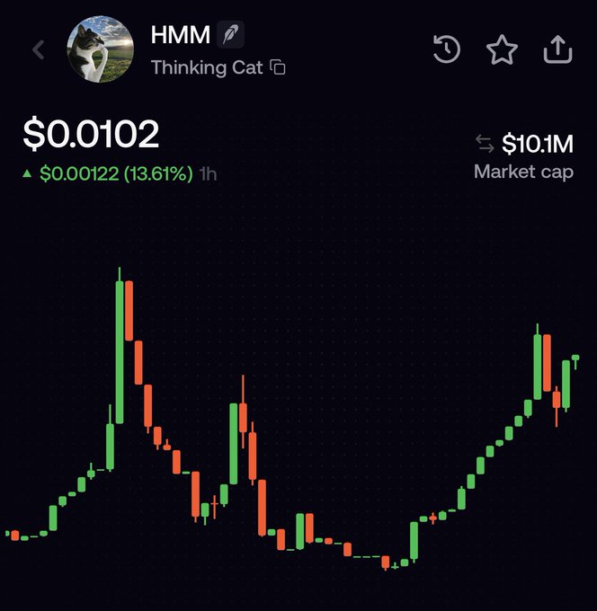 A cryptocurrency price chart for the token 'HMM' (Thinking Cat) showing a current price of $0.0102 with a 13.61% increase and a market cap of $10.1M.
