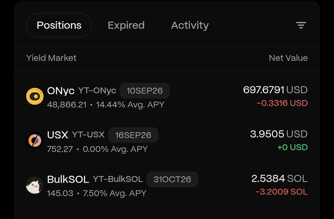A digital wallet interface showing yield market positions including ONyc (697.6791 USD, -0.3316), USX (3.9505 USD, +0), and BulkSOL (2.5384 SOL, -3.2009).
