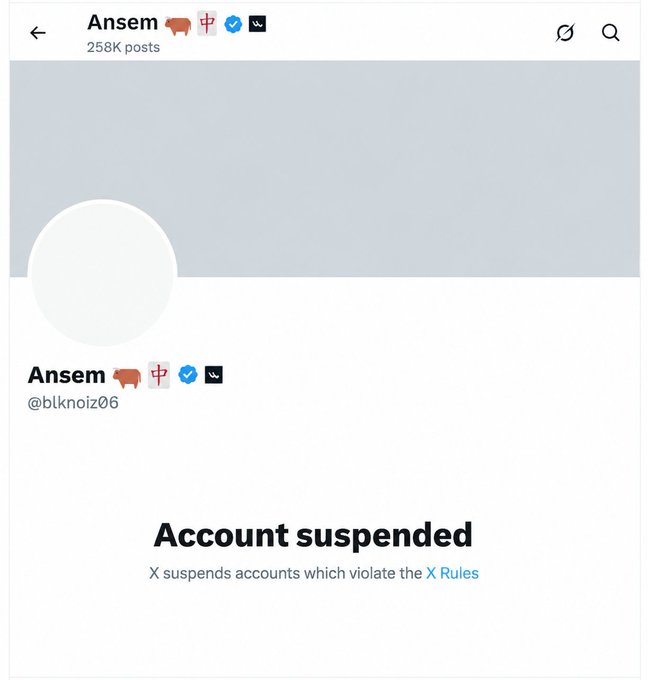 A screenshot of the X (Twitter) profile for 'Ansem' (@blknoiz06) with 258K posts, displaying an 'Account suspended' notice.