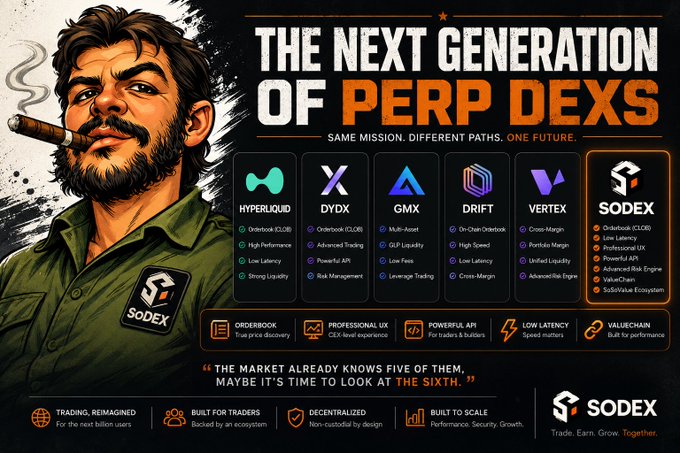 A promotional graphic for SODEX titled "The Next Generation of PERP DEXs" showcases an illustrated bearded man in a green shirt smoking a cigar, featuring a comparison table of six decentralized exchanges—Hyperliquid, DYDX, GMX, Drift, Vertex, and SODEX—with SODEX highlighted as the superior sixth option boasting features like Orderbook, Professional UX, Powerful API, Low Latency, and ValueChain. The image directly reinforces the post's narrative about Hyperliquid emerging as a DeFi success story, positioning SODEX as a potential "sixth" contender to join the ranks of established perp DEXs.