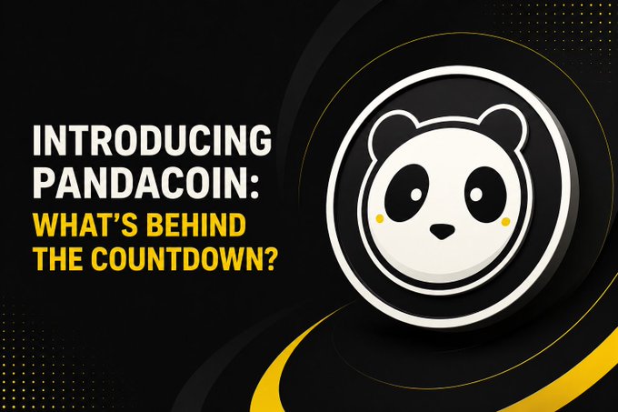 Promotional graphic for 'Pandacoin' featuring a panda mascot logo on a black background with yellow accents, reading 'INTRODUCING PANDACOIN: WHAT'S BEHIND THE COUNTDOWN?'