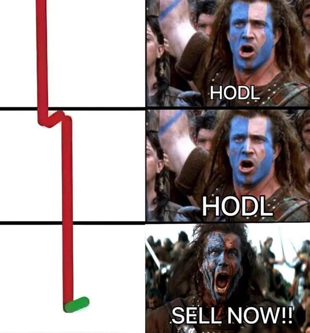 A Braveheart 'HODL' meme showing Mel Gibson shouting 'HODL' twice as the price drops, then screaming 'SELL NOW!!' at the bottom with a chart line crashing down to green.