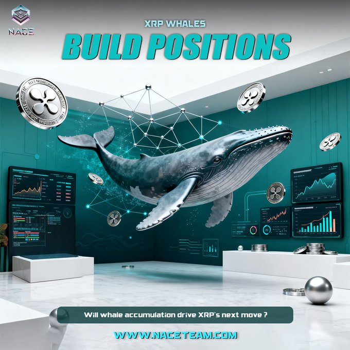 A digital whale composed of glowing network nodes floats among XRP coins and cryptocurrency charts in a futuristic teal room, with the headline "XRP WHALES BUILD POSITIONS" and a banner asking "Will whale accumulation drive XRP's next move?" The imagery visually represents the post's theme of XRP whale accumulation and institutional interest tracked by NACE.