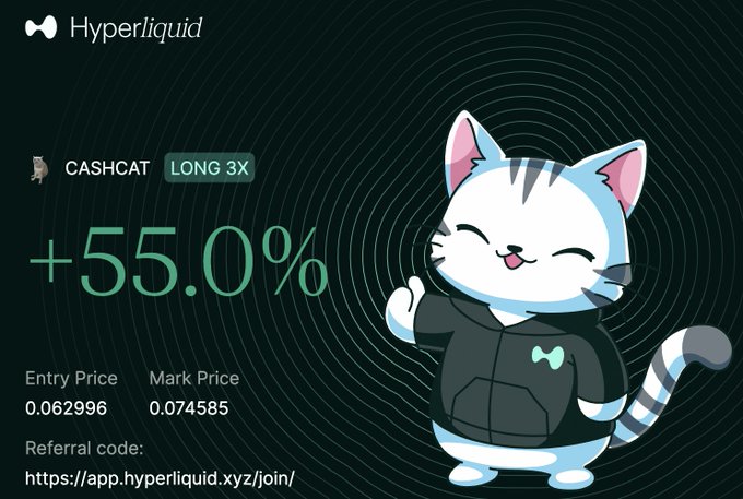 A Hyperliquid trading card featuring a cartoon cat character in a hoodie with '+55.0%' profit on 'CASHCAT LONG 3X', showing an entry price of 0.062996 and mark price of 0.074585, along with a referral link.