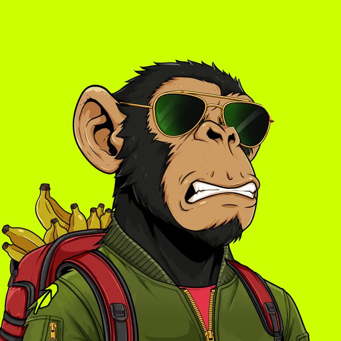 A cartoon illustration of a chimpanzee wearing sunglasses and a green jacket, carrying a backpack filled with bananas against a lime green background.