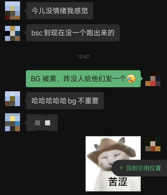 A Chinese chat conversation where users discuss not having a good feeling today, mention no one has stood out from BSC yet, and joke that BG is not important after being blacklisted, ending with a meme of a cat crying.