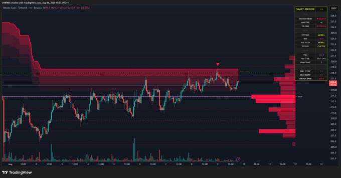 A TradingView intraday chart for CHXRBE dated Aug 09, 2024, displaying Bitcoin Cash / TetherUS on Binance with a short access panel on the right.