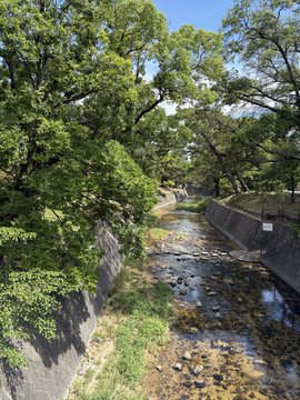 A shallow rocky stream flows through a concrete channel lined with green trees and a stone wall under a blue sky.