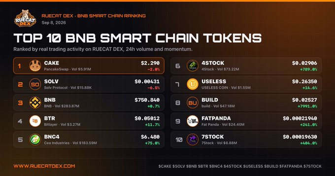 An infographic titled 'TOP 10 BNB SMART CHAIN TOKENS' on RUECAT DEX dated Sep 8, 2026, listing tokens like CAKE, SOLV, BNB, BTR, BNC4, 4STOCK, $USELESS, BUILD, FATPANDA, and 7STOCK with their prices and 24h volume changes.