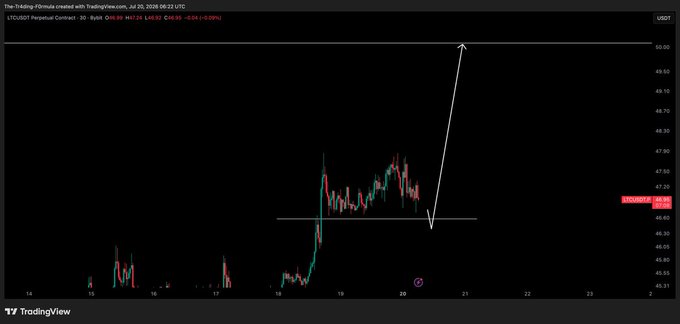 The image is a TradingView chart of LTC/USD Perpetual Contract on a 30-minute timeframe, showing price action around 46.27 with a hand-drawn white arrow indicating an anticipated dip before a long entry, aligning with the post's setup of waiting for a pullback to go long.