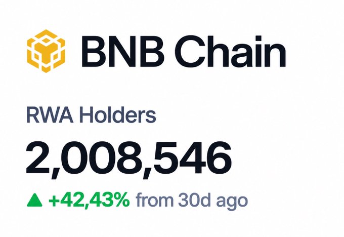 A BNB Chain logo showing RWA Holders at 2,008,546, up +42.43% from 30 days ago.
