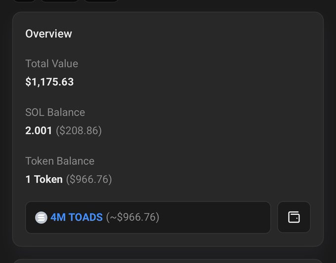 A wallet overview showing a total value of $1,175.63, including 2.001 SOL ($208.86) and 1 token held—4M TOADS valued at approximately $966.76—confirming receipt of the 4M starting toads.
