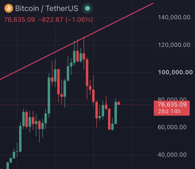 A candlestick chart of Bitcoin/TetherUS ($BTC) shows the price at $76,635.09, down $822.87 (-1.06%), with a steep downtrend from a peak near $120,000 toward lower levels, aligning with the post's bearish outlook targeting $49,000.