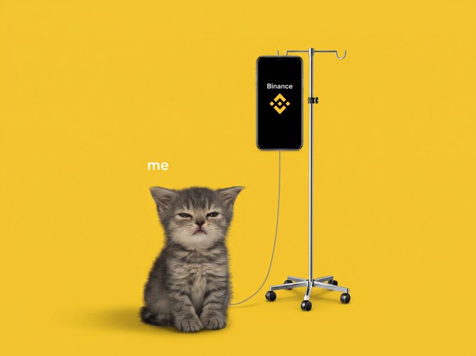 A humorous meme on a yellow background showing a small kitten labeled 'me' connected by an IV drip to a smartphone displaying the Binance logo, depicting dependency on the exchange.