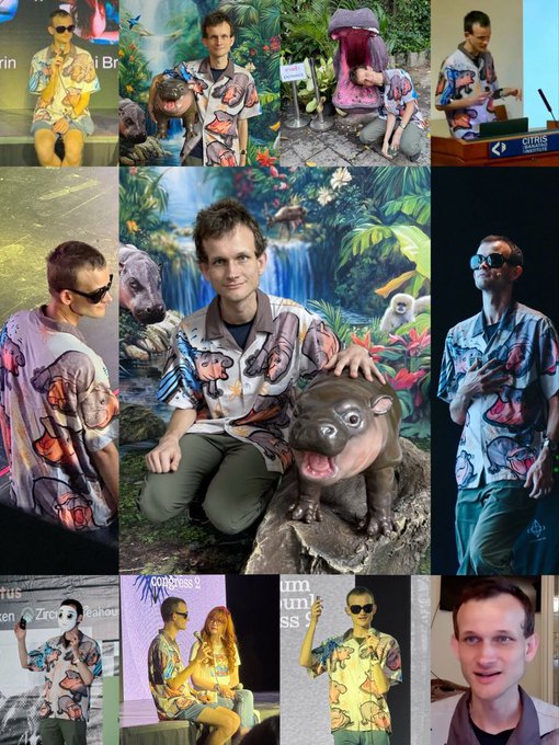 A collage of photos featuring a young man wearing a vibrant shirt with cartoon prints, posing with hippo statues and in various settings.