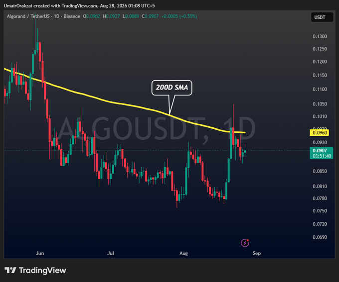 A TradingView candlestick chart of Algorand (ALGOUSDT) on the 1D Binance timeframe, priced at 0.0907, with a yellow 200-day SMA line acting as resistance near 0.0960 that the price must flip to recover, otherwise risking a decline toward the 0.08 support zone.