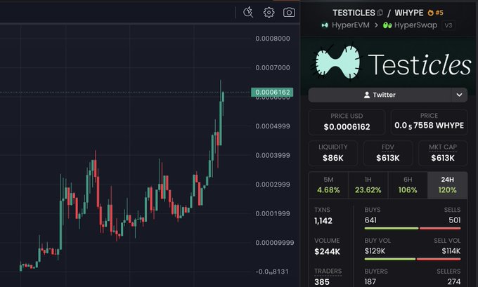 The image shows a cryptocurrency trading dashboard for a meme token called "TESTICLES" (ticker WHYPE) trading on HyperSwap via HyperEVM, priced at $0.0006162 with $244K volume and $86K liquidity. It humorously illustrates the post's theme of being "stuck in the wrong testicles coin" by displaying a token named after anatomy that most investors would likely want to avoid holding.