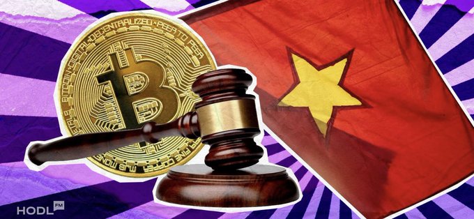 A composite graphic featuring a gold Bitcoin coin, a wooden judge's gavel, the Vietnamese flag, and a purple sunburst background, watermarked 'HODL'.