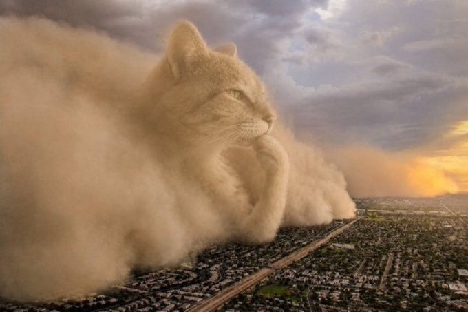 A massive dust storm in the shape of a cat looms over a sprawling cityscape at sunset, dwarfing the urban grid below.

The image serves as a visual pun on the post's warning, depicting a literal "cat-astrophe" rolling in to engulf the "overpriced" Robinhood Chain rails—much like how an unexpected dust storm can sweep through a city regardless of how stable its infrastructure may appear.