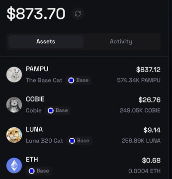 A dark-mode crypto wallet interface showing a balance of $873.70, with assets including PAMPU ($837.12), COBIE ($26.76), LUNA B20 Cat ($9.14), and ETH ($0.68), all on the Base network.