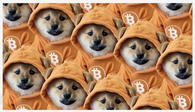 A repeating pattern of Shiba Inu dogs wearing orange hoodies with the Bitcoin 'B' logo, representing Dogecoin/Bitcoin meme imagery.