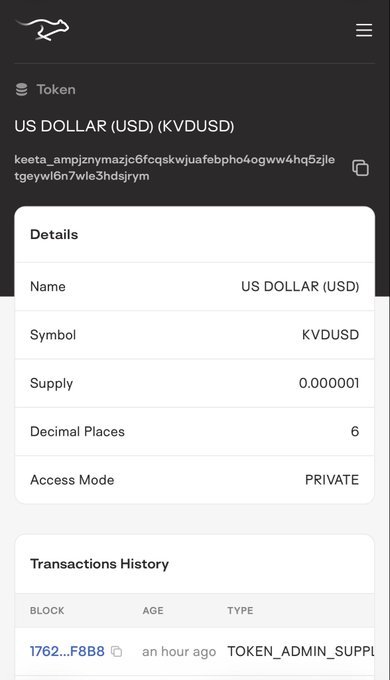 A screenshot of a Keeta blockchain interface showing token details for "US DOLLAR (USD)" with the symbol "KVDUSD", a supply of 0.000001 and 6 decimal places, set to PRIVATE access mode. This image supports the theory that the KB-prefixed fiat tokens relate to Keeta Bivo, as it shows a corresponding USD token in the testnet.