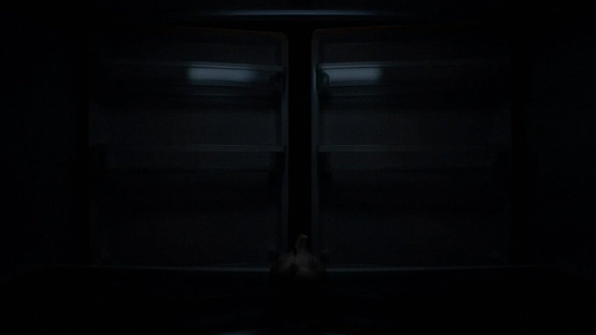 The image shows a refrigerator with its doors open, revealing two shelves inside. There are no people or objects visible within the fridge. The focus of the image is on the empty interior of the refrigerator, which appears to be dark and devoid of any activity.