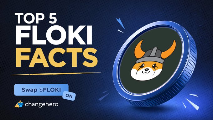 A promotional graphic for cryptocurrency with the text 'TOP 5 FLOKI FACTS' on the left, a 'Swap $FLOKI' button, the 'changehero' logo, and a 3D rendering of a blue coin featuring a Shiba Inu dog wearing a Viking helmet on the right.