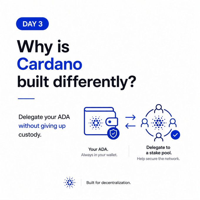The image is a "Day 3" educational graphic titled "Why is Cardano built differently?" explaining that users can delegate their ADA to a stake pool while keeping custody of their funds. It features simple blue icons showing ADA remaining in the user's wallet while being delegated to a pool, with the tagline "Built for decentralization." This visually reinforces the post's key point that Cardano's proof-of-stake design lets holders participate in network consensus without sending their tokens away.
