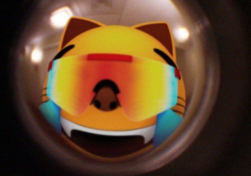 A distorted, fish-eye view of an orange tabby cat face with rainbow-colored sunglasses and an open mouth, framed by a circular lens effect that fits the playful "mogust" (August + mog) theme with its bright, summery vibes.