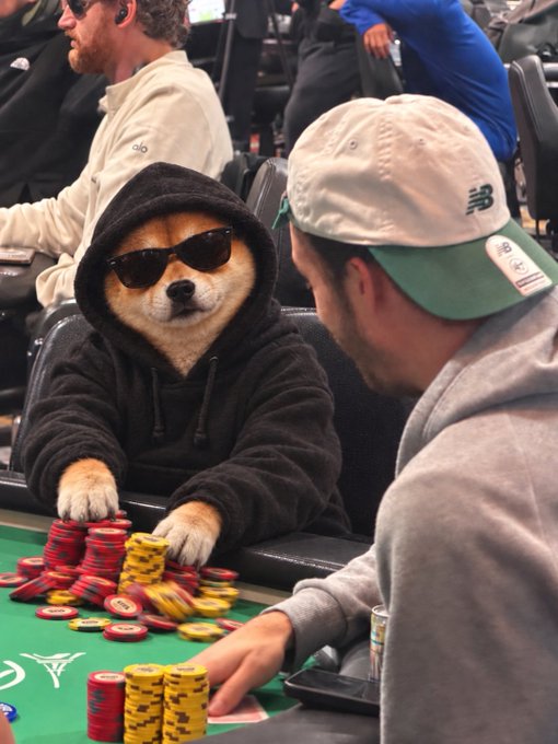 A Shiba Inu dog wearing a black hoodie and sunglasses sits at a green poker table surrounded by stacks of red and yellow chips, facing a man in a gray hoodie and white New Era cap in a casino setting.