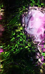 A pink rose blooms among dark green foliage in a moody, shadowed setting.