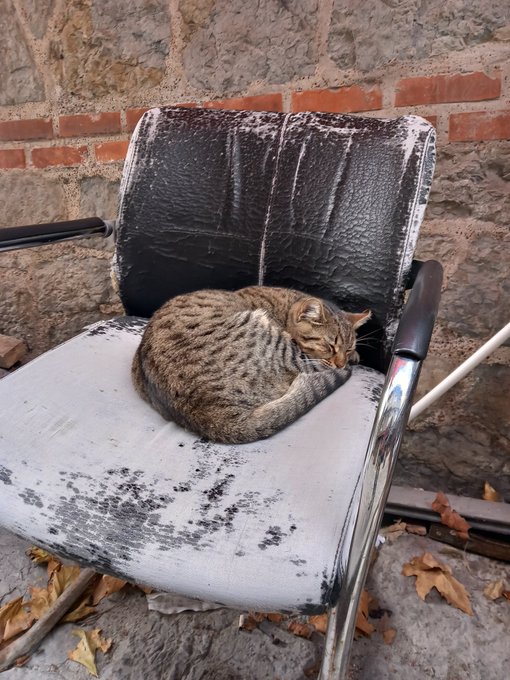 A tabby cat curled up sleeping on a weathered black-and-white vinyl chair with chrome frame, set against a stone and brick wall.