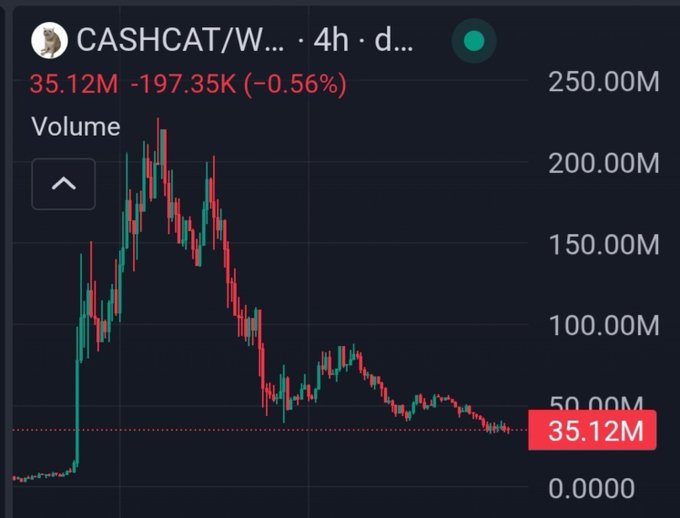 A 4-hour candlestick chart shows the CASHCAT/W trading pair on a dex, with volume down -0.56% to 35.12M, reflecting the dramatic collapse from a peak near 225M to roughly 33M highlighted in the user's post about getting "rekt" by the cat memecoin.