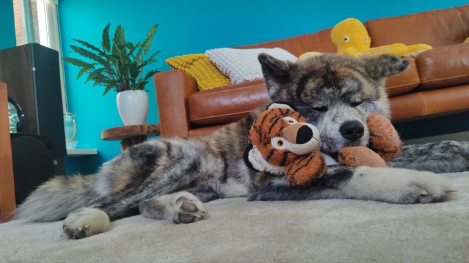 The image features a dog lying down with a stuffed animal toy next to it. The scene takes place in a living room setting, where there are two couches - one brown leather couch and another smaller couch. A potted plant can be seen on top of the larger couch, adding some greenery to the space.