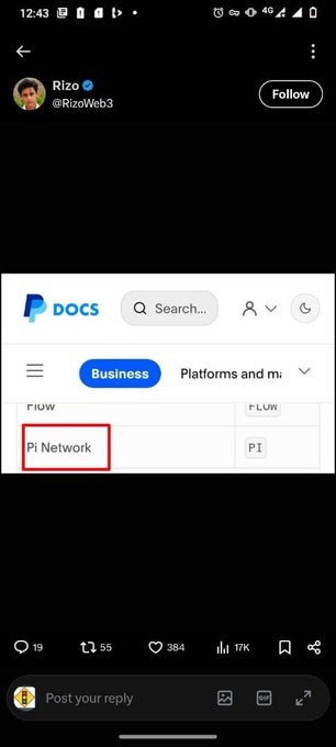 A tweet screenshot by Rizo (@RizoWeb3) showing a PayPal docs interface with 'Pi Network' highlighted in a red box.