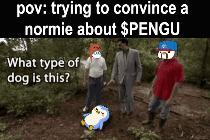 A meme with text 'pov: trying to convince a normie about $PENGU' shows characters asking 'What type of dog is this?' over a forest scene.