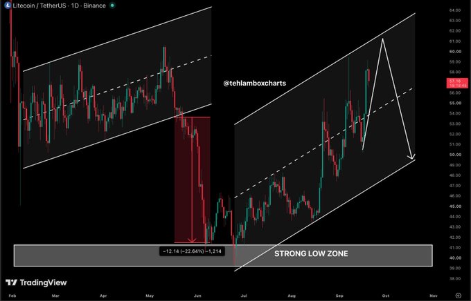 A Litecoin (LTC/USDT) TradingView chart from @tehlamboxcharts shows the cryptocurrency's price movement within an ascending channel pattern, with a highlighted "STRONG LOW ZONE" near $48 and projected targets at $60–$64, aligning with the post's call for buyers to defend $48 for a potential rally to those upper levels.
