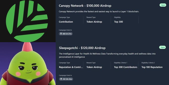 The image shows two posts about campaigns on Nucleus, with a green cartoon character standing next to each other. One post is titled "Good morning, legends! Two new campaigns are available on Nucleus", while the other post has a title of "@CNPYNetwork - $100,000 Airdrop". The first post seems to be about modular blockchain infrastructure and how it can make the launch of new L1s easier. The second post is about a campaign for a project called @CNPYNetwork, which focuses on making the launch of new L1s more efficient using modular blockchain technology.