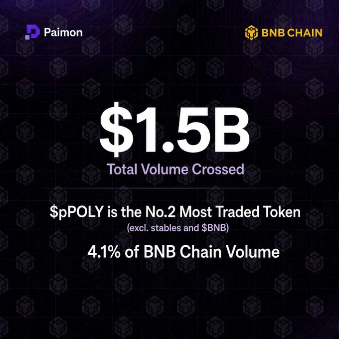 A promotional graphic displaying '$1.5B Total Volume Crossed' for $pPOLY on BNB Chain, noting it is the 'No.2 Most Traded Token' accounting for '4.1% of BNB Chain Volume', with logos for Paimon and BNB Chain.