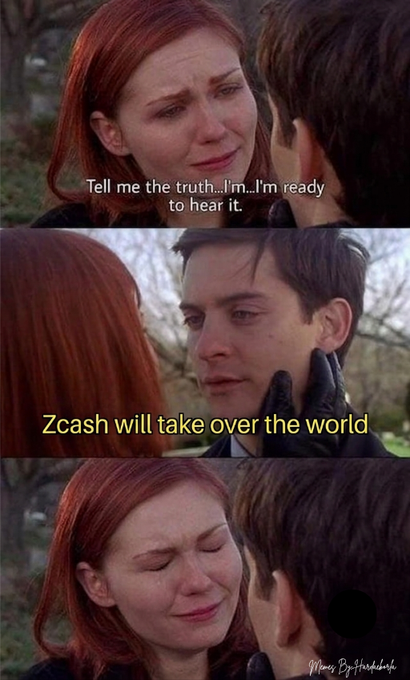 The image is a three-panel Spider-Man meme featuring Mary Jane crying and asking "Tell me the truth..I'm..I'm ready to hear it," followed by Peter Parker revealing "Zcash will take over the world," and ending with Mary Jane in emotional acceptance. The meme humorously frames the inevitability of Zcash's global privacy-focused adoption as an undeniable truth, aligning with the post's message about zero-knowledge technology becoming mainstream.