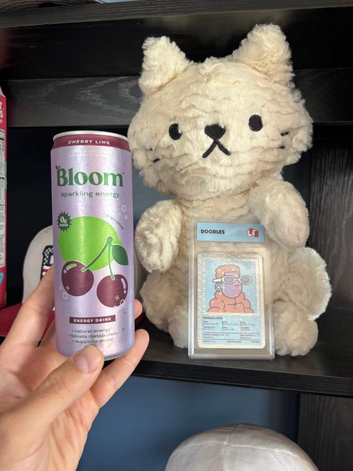 A hand holds a can of 'Bloom sparkling energy' Cherry Lime next to a cream-colored plush bear on a shelf beside a 'DOODLES' NFT card.